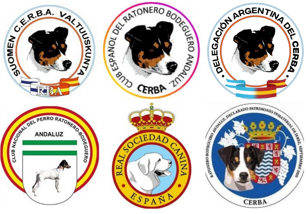 Vereinslogos aus Finnland, Spanien und Argentinien Image